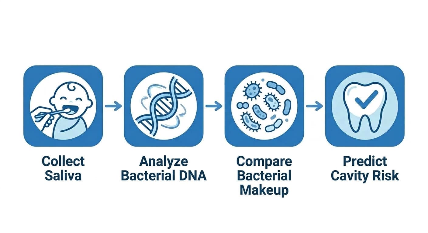 An icon flowchart showing the process from collecting a child's saliva, through bacterial gene analysis and comparing bacterial makeup, to predicting cavity risk