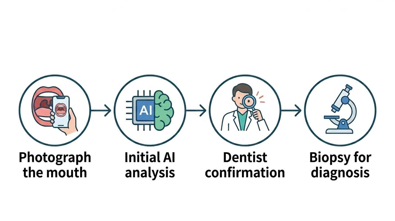 Four-step flowchart: photographing the mouth, initial AI analysis, dentist confirmation, and biopsy for definitive diagnosis