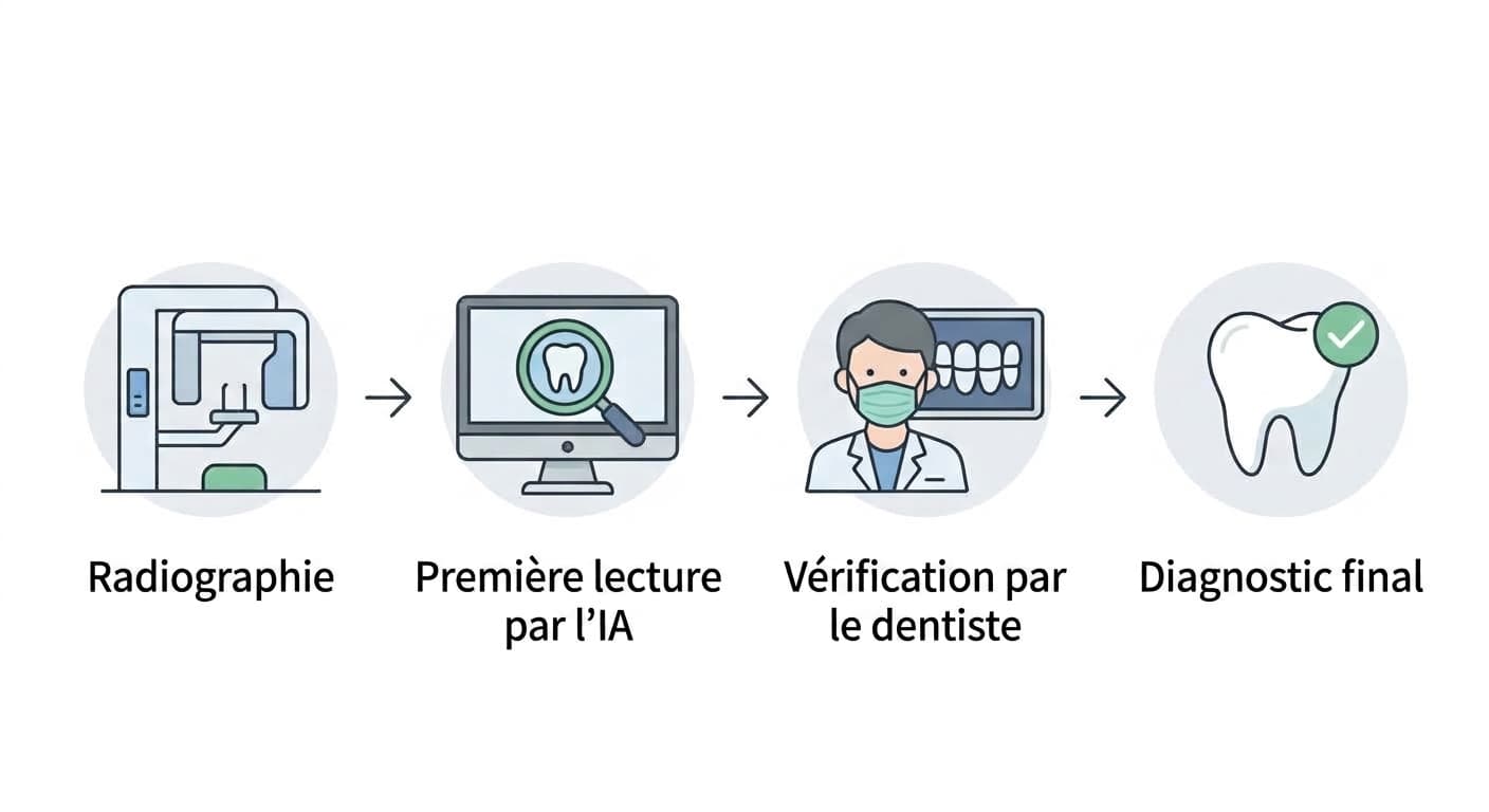 Schéma du parcours : radiographie, première lecture par l'IA, vérification par le dentiste, diagnostic final