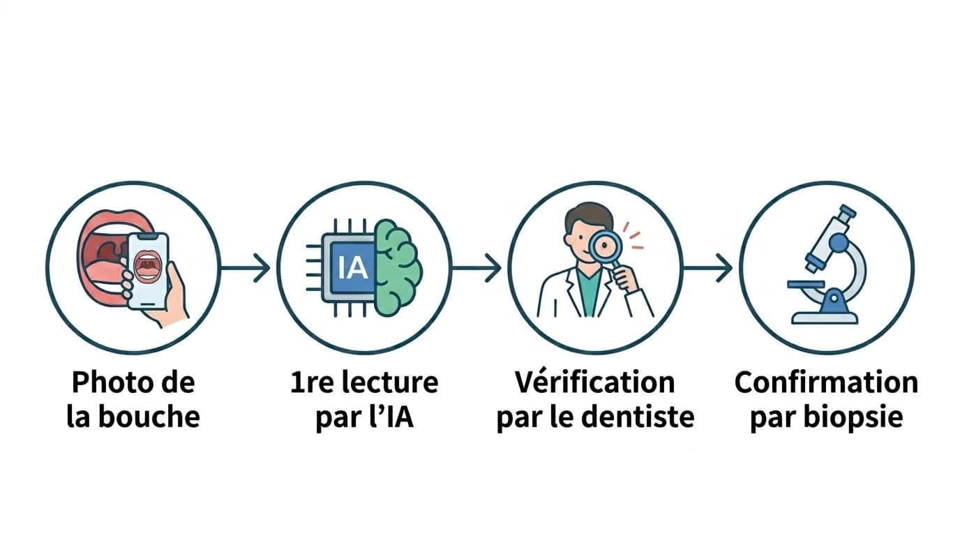 Schéma en 4 étapes : prise de photo de la bouche, première lecture par l'IA, vérification par le dentiste, confirmation par biopsie