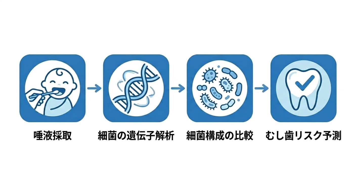 子どもの唾液採取から細菌の遺伝子解析、細菌構成の比較、むし歯リスク予測までの流れを示すアイコンのフローチャート