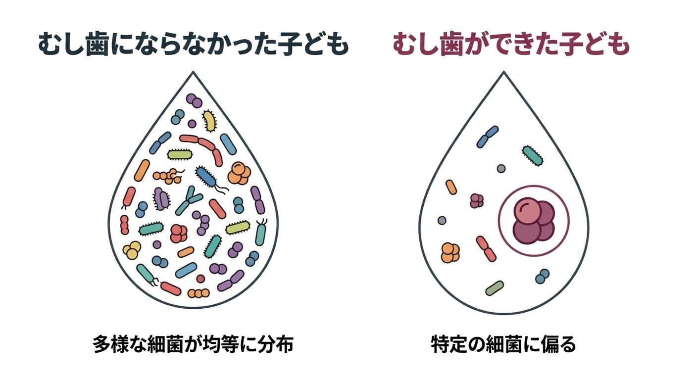 むし歯にならなかった子どもとむし歯ができた子どもの唾液中の細菌構成を比較した図。左は多様な細菌が均等に分布し、右は特定の細菌に偏っている
