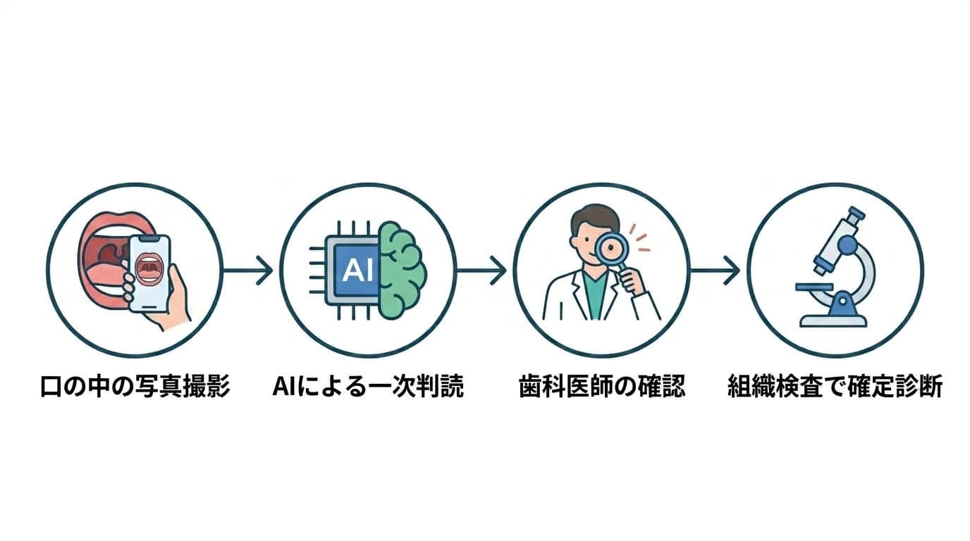 口の中の写真撮影、AIによる一次判読、歯科医師の確認、組織検査による確定診断へと続く4段階のフローチャート