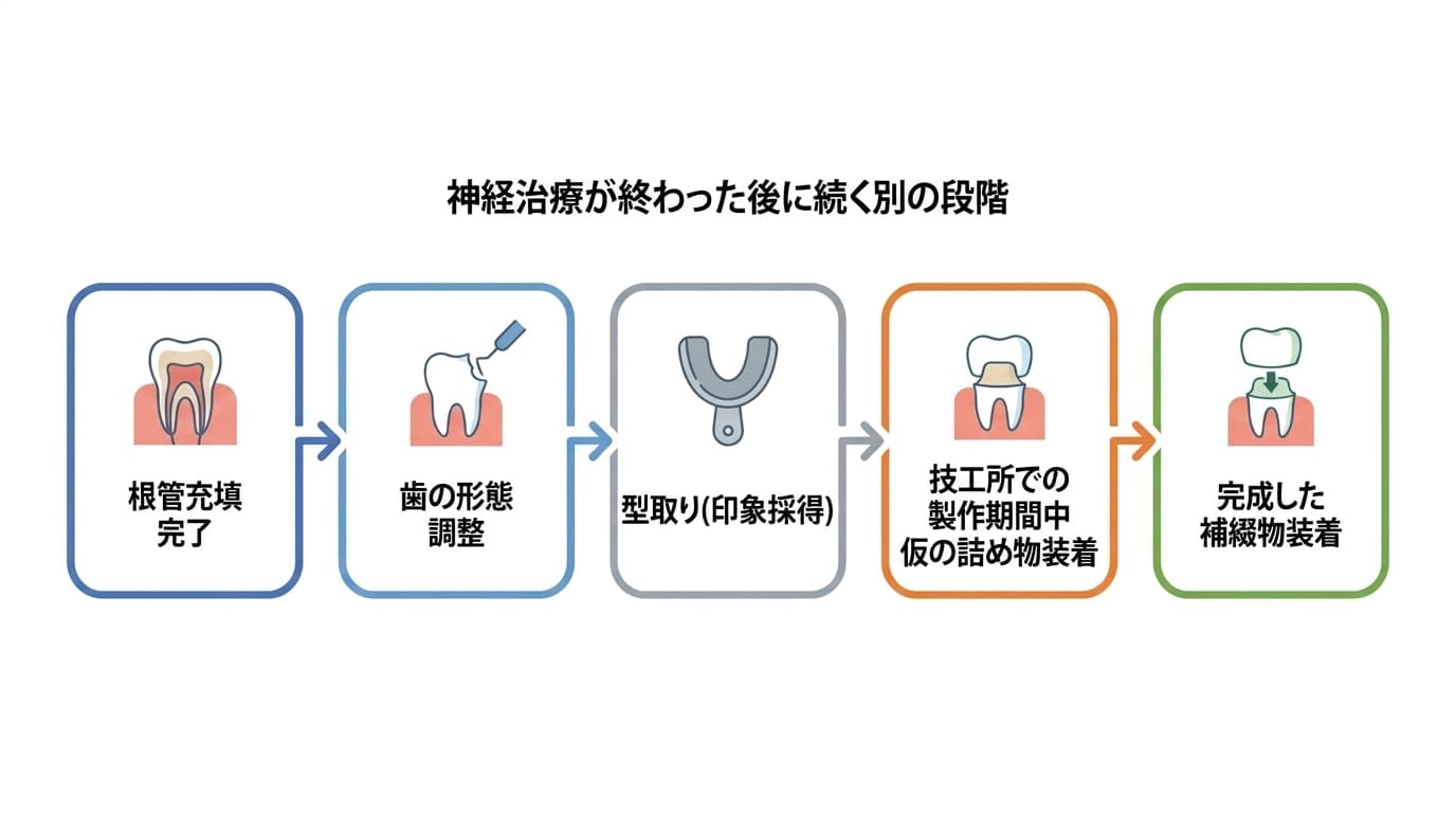 神経治療が終わった後に続く別の段階を示すフローチャート。根管充填完了、歯の形態調整、型取り、技工所での製作期間中の仮の詰め物装着、完成した補綴物装着の順に進む