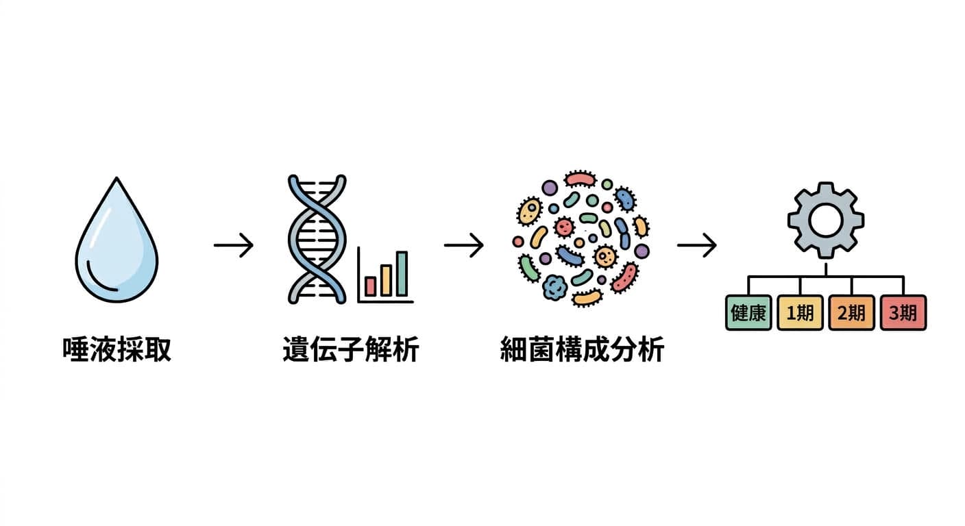 唾液採取から遺伝子解析、細菌構成分析を経て健康・1期・2期・3期に分類される過程を示すフローチャート。