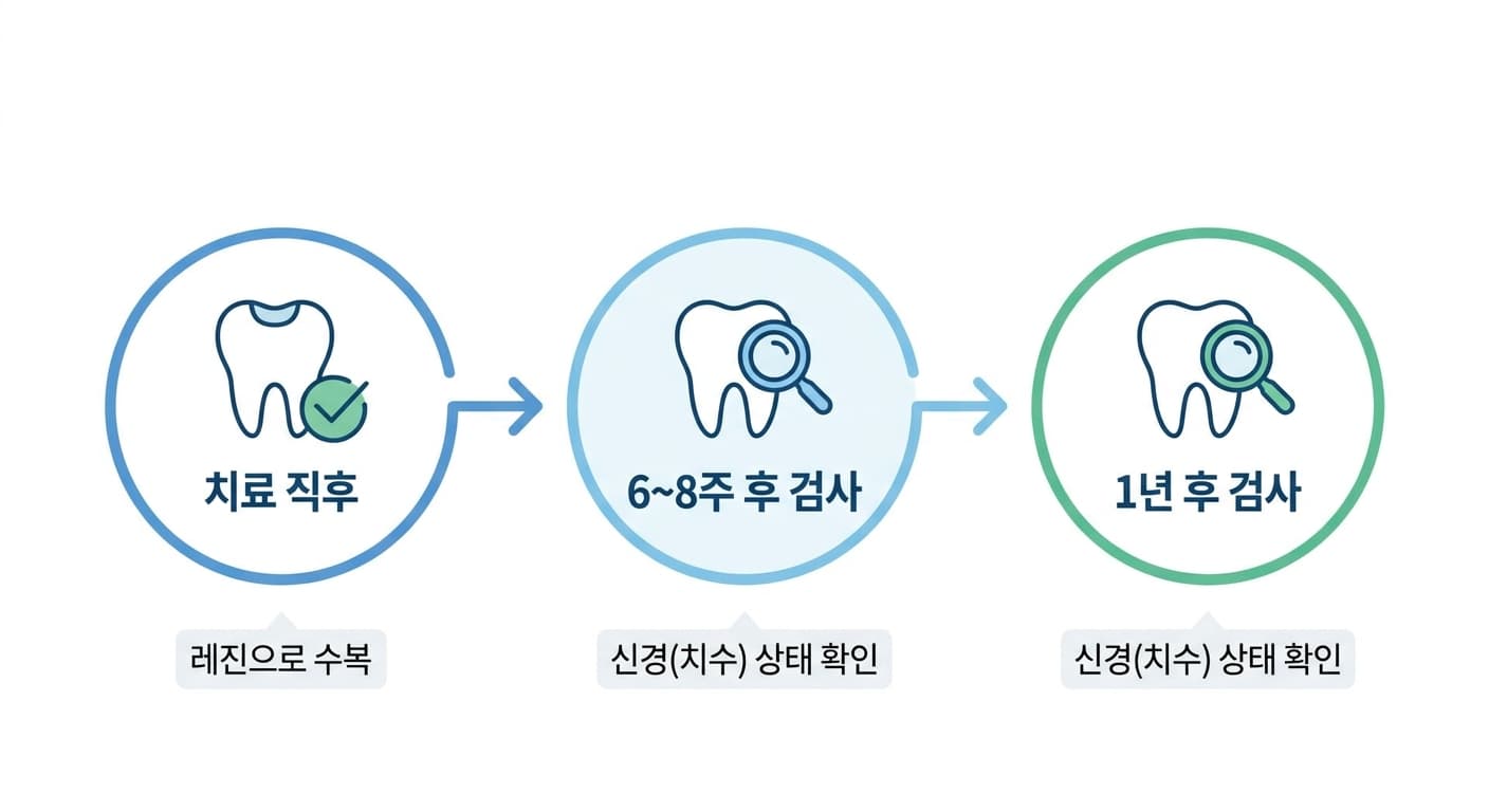 치료 직후, 6~8주 후, 1년 후로 이어지는 정기 검사 일정과 각 시점마다 신경(치수) 상태를 확인한다는 것을 보여주는 타임라인 그림