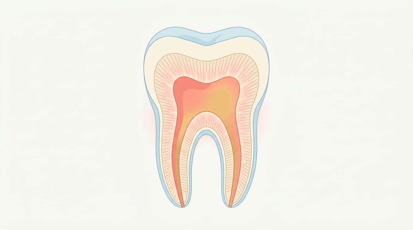 Un traitement contre les dents sensibles fait repousser la dentine au lieu de la boucher