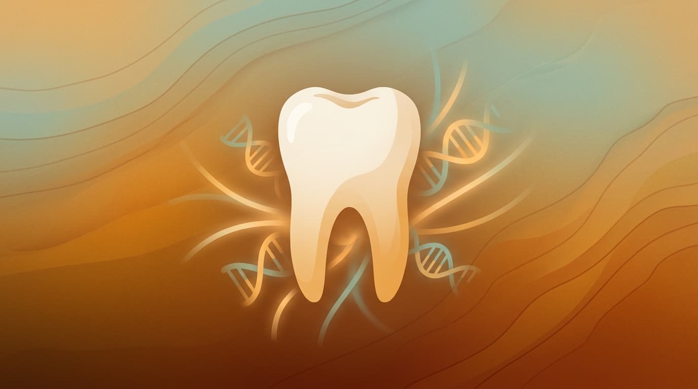 400,000-Year-Old Tooth Fossils in China Show Signs of Interbreeding Among Human Ancestors