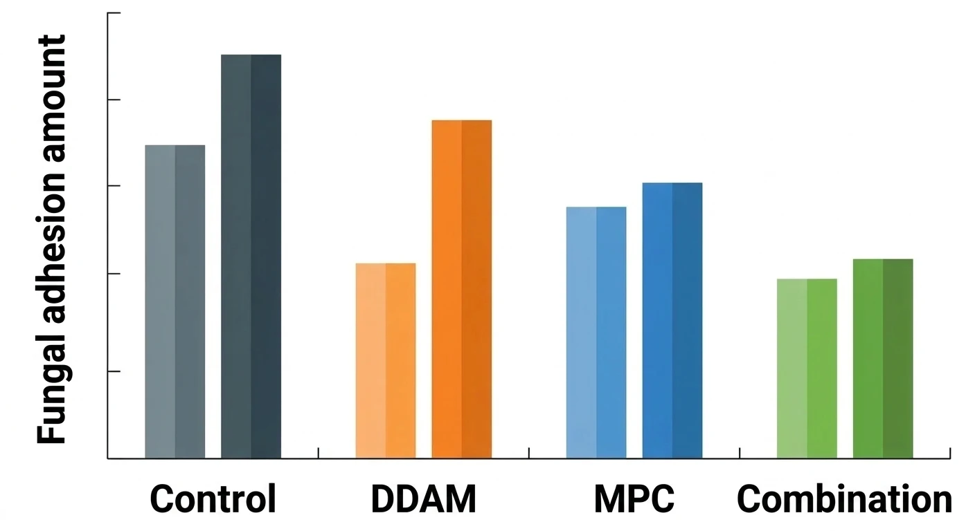 A bar graph comparing the amount of fungal adhesion before and after aging among the control, MPC, DDAM, and combination groups