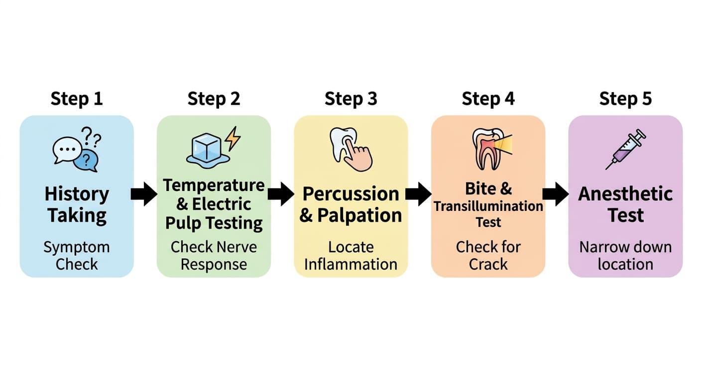 Five-step flowchart for finding the tooth causing a toothache: history taking, temperature and electric testing, percussion and palpation, bite and transillumination tests, and the anesthetic test