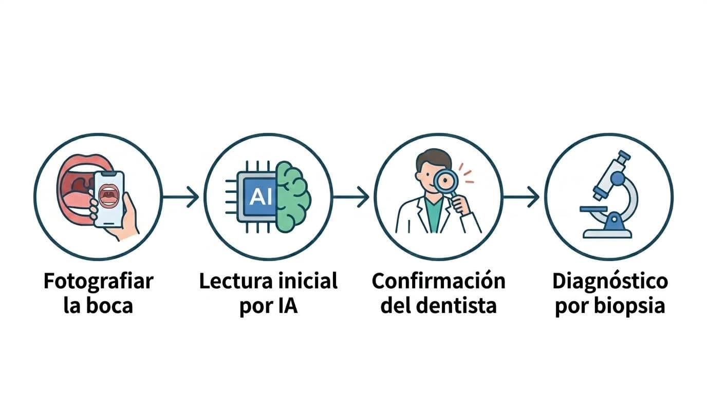 Diagrama de flujo de cuatro pasos: fotografiar el interior de la boca, lectura inicial por IA, confirmación del dentista y diagnóstico definitivo mediante biopsia