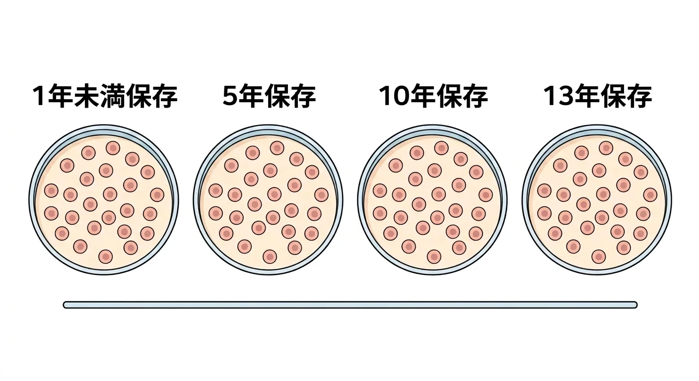1年未満、5年、10年、13年凍結・解凍した歯の幹細胞を培養皿に並べて比較した図。4枚の皿すべてで細胞密度が同程度に描かれている