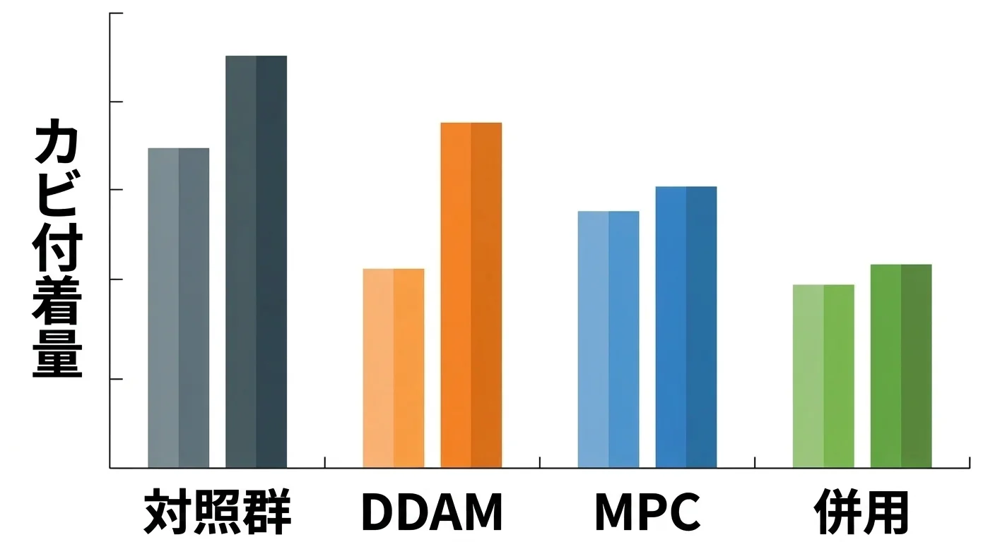 対照群とMPC、DDAM、併用の4グループのカビ付着量を老化前後で比較した棒グラフ