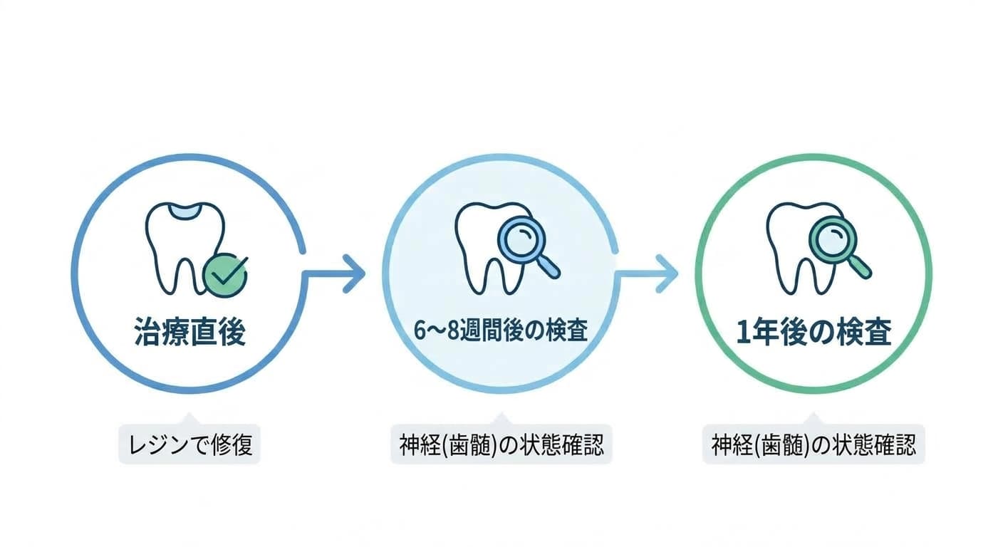 治療直後、6〜8週間後、1年後へと続く定期検査のスケジュールと、各時点で神経(歯髄)の状態を確認することを示すタイムライン図