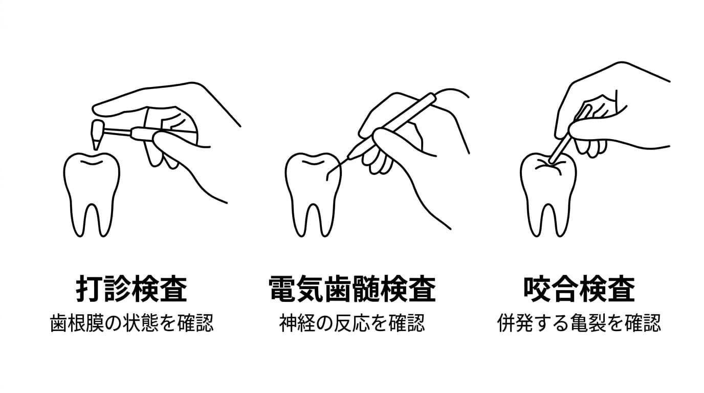 打診検査で歯根膜の状態を、電気歯髄検査で神経の反応を、咬合検査で併発する亀裂を確認する過程を示した図