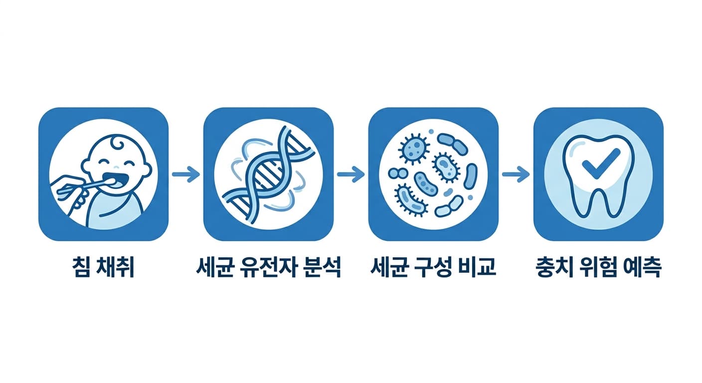 아이 침 채취부터 세균 유전자 분석, 세균 구성 비교, 충치 위험 예측까지 이어지는 과정을 보여주는 아이콘 흐름도