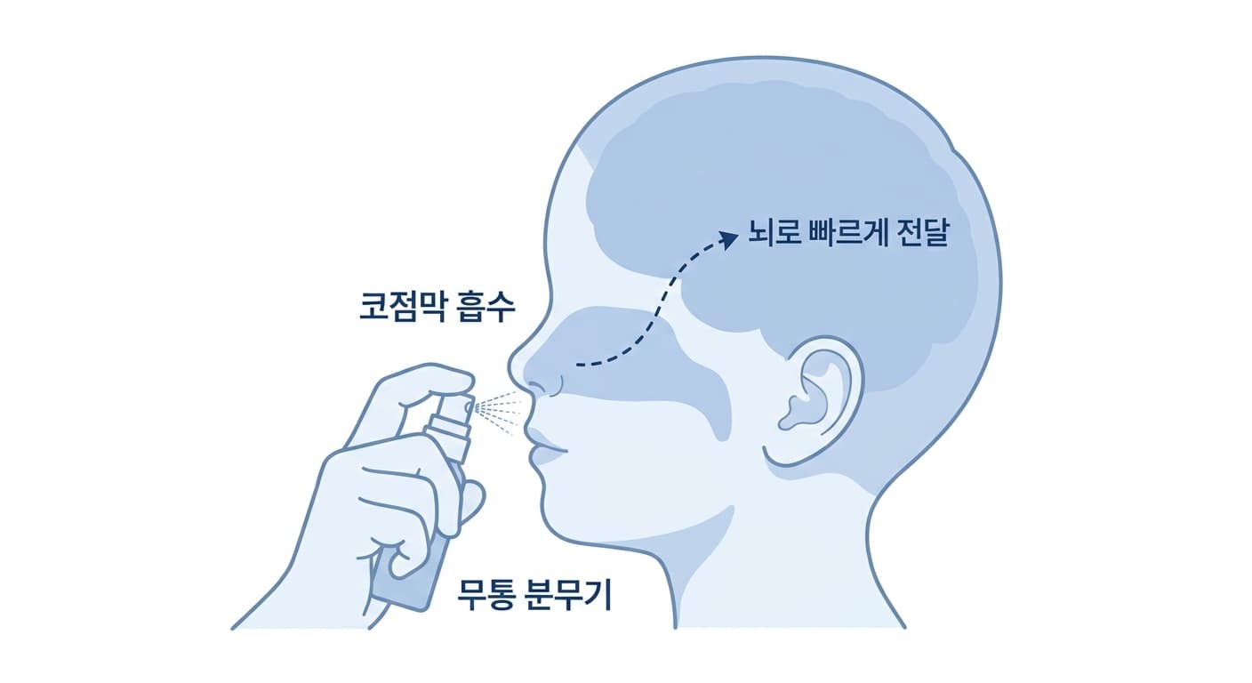 분무기로 코 안에 진정제를 뿌리면 코점막을 통해 빠르게 흡수되어 뇌로 전달되는 과정을 나타낸 그림