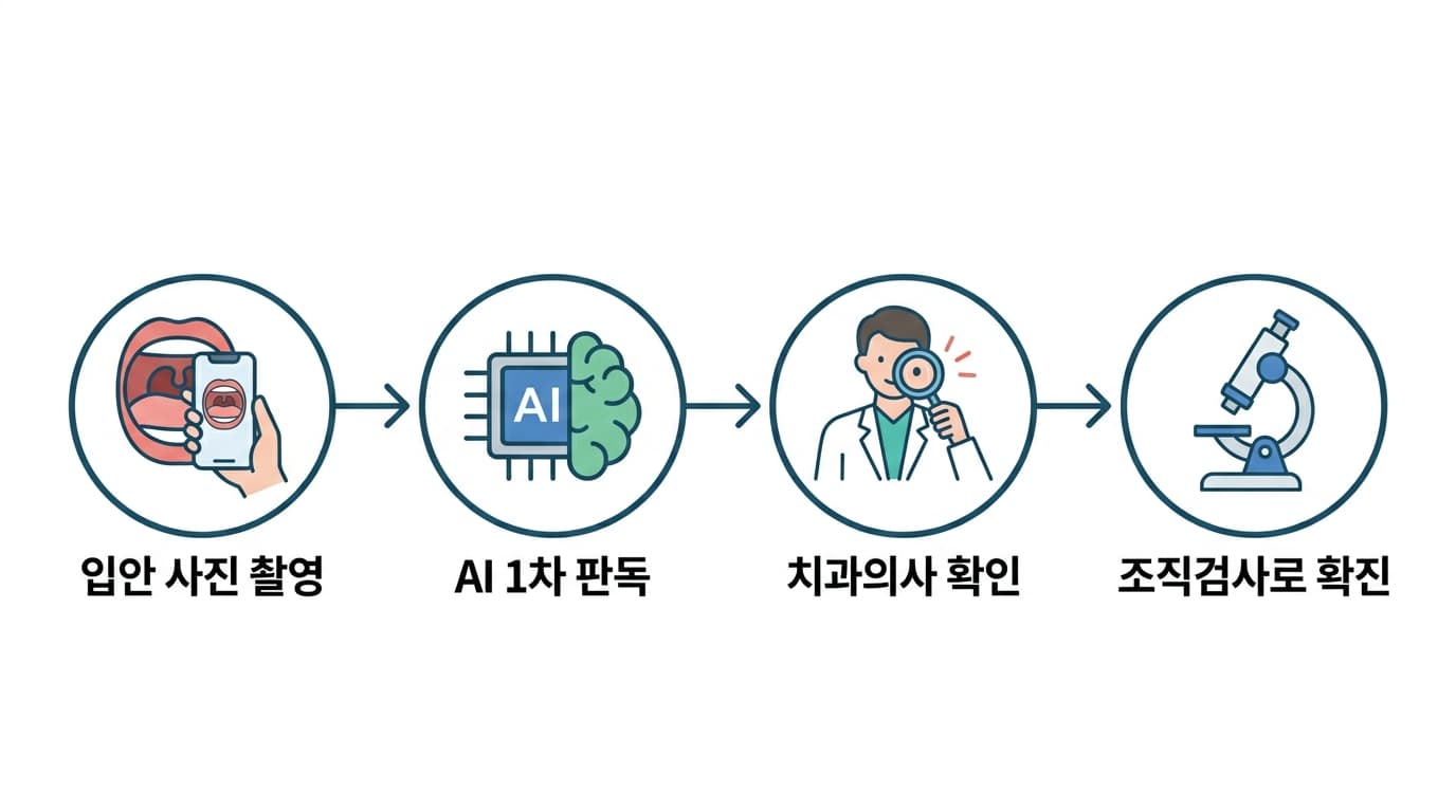 입안 사진 촬영, AI 1차 판독, 치과의사 확인, 조직검사 확진으로 이어지는 4단계 흐름도