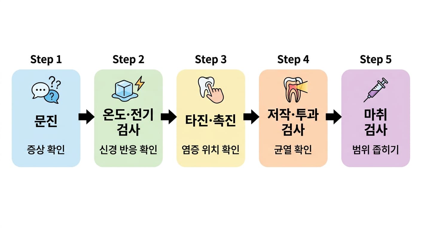 치통 원인 치아를 찾을 때 거치는 문진, 온도·전기 검사, 타진·촉진, 저작·투과 검사, 마취 검사의 다섯 단계 순서도