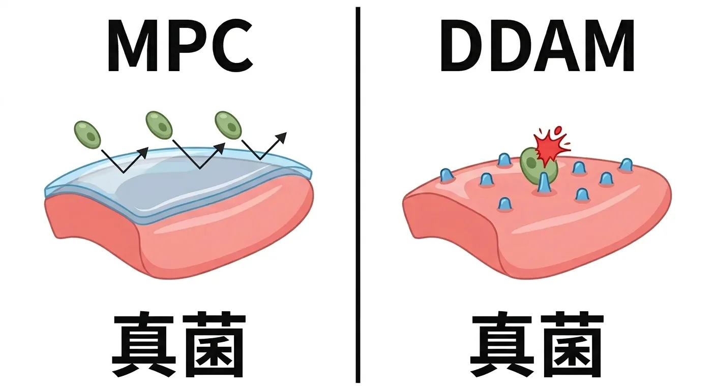 并排展示MPC以水膜使真菌打滑、DDAM接触杀灭真菌的作用原理的插图