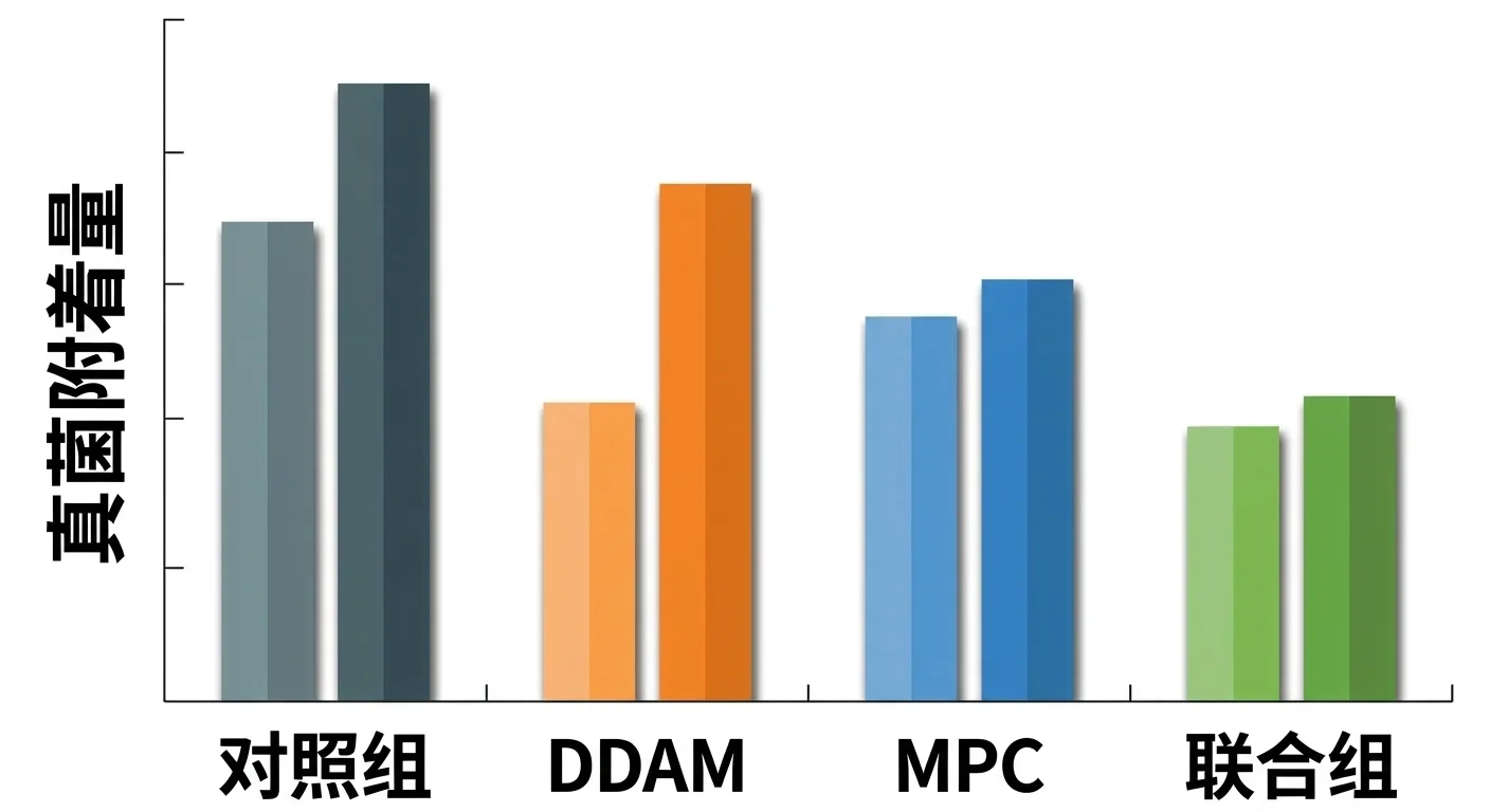 比较对照组、MPC组、DDAM组、联合组四组在老化前后真菌附着量的条形图