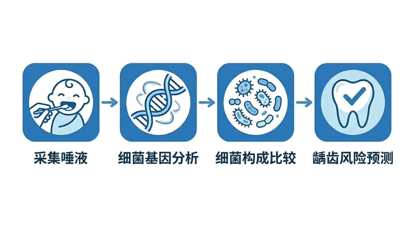 展示从采集婴儿唾液到细菌基因分析、细菌构成比较,再到龋齿风险预测这一过程的图标流程图