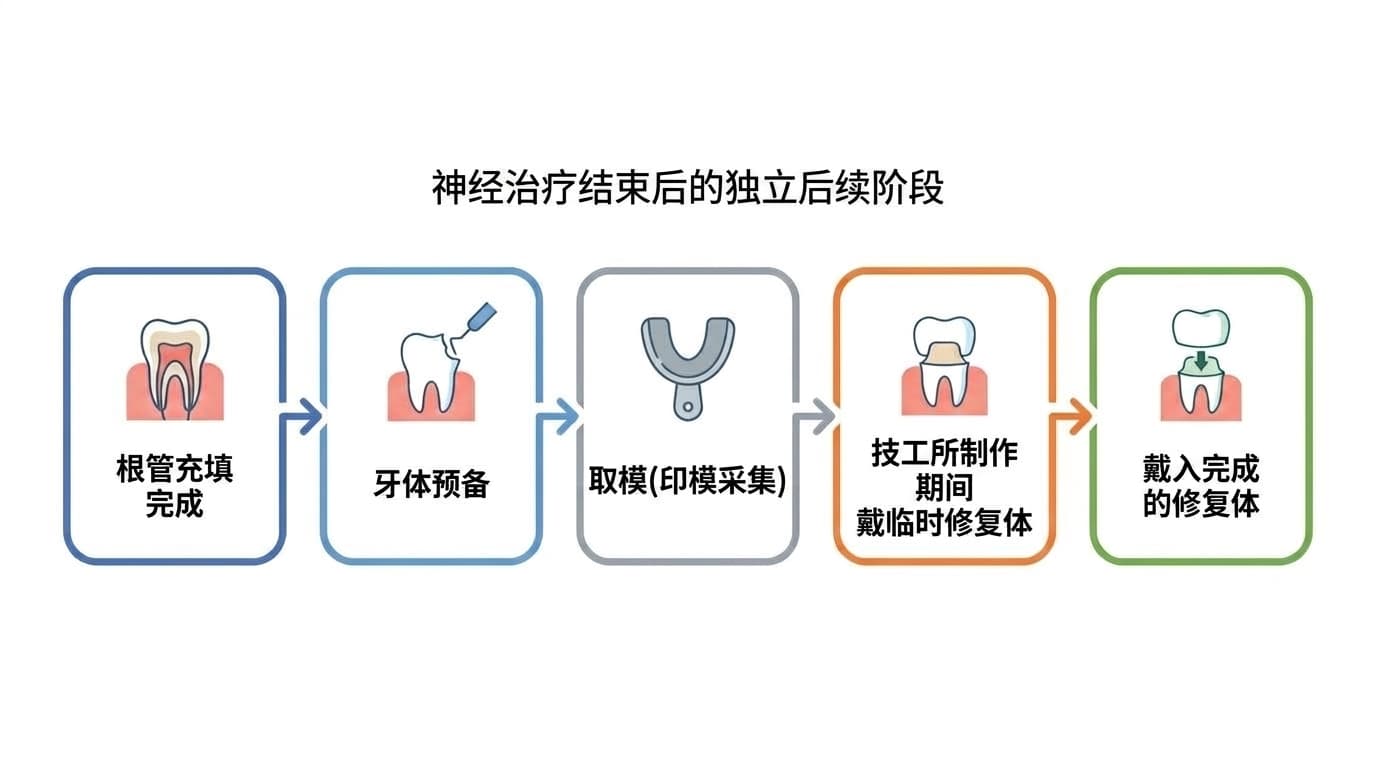 展示神经治疗结束后接续的独立阶段的流程图。依次为:根管充填完成、牙体形态预备、取模、技工所制作期间戴临时修复体、戴入完成的修复体