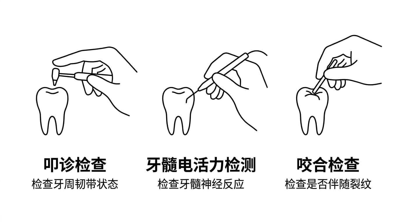 用叩诊检查牙周韧带状态、用牙髓电活力检测检查牙髓神经反应、用咬合检查判断是否伴随裂纹的过程示意图